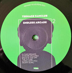 Schallplatte Teenage Fanclub - Endless Arcade (LP) - 2