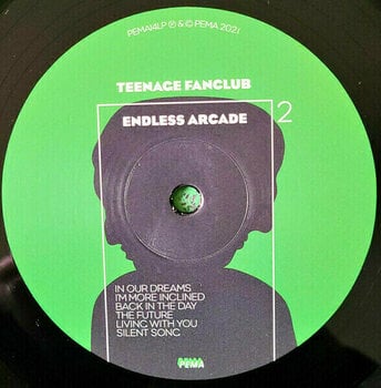Disque vinyle Teenage Fanclub - Endless Arcade (LP) - 3