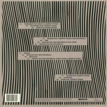 Disque vinyle The Vision - The Vision (2 LP) - 2