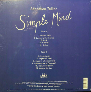 Płyta winylowa Sebastien Tellier - Simple Mind (LP) - 2