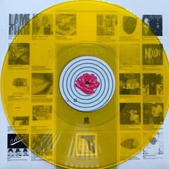 Vinila plate Lambchop - Trip (Sun-Yellow Vinyl) (LP) - 1