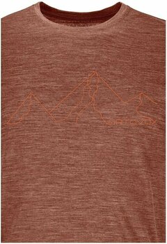 Outdoor T-Shirt Ortovox 150 Cool Mountain Face T-Shirt M Orange Blend S T-Shirt - 2