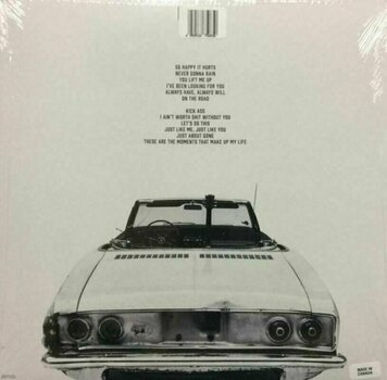 Vinyl Record Bryan Adams - So Happy It Hurts (Clear Vinyl) (Indie) (LP) - 2