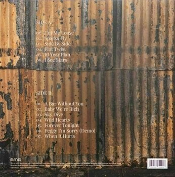 Δίσκος LP The Shires - 10 Years Plan (LP) - 4