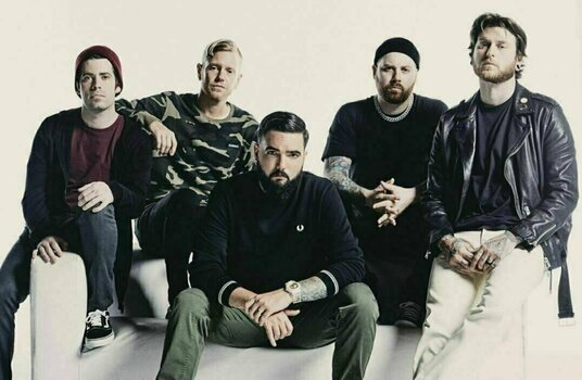Hanglemez A Day To Remember - You're Welcome (LP) - 3