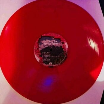 Vinyylilevy A Day To Remember - You're Welcome (Red Vinyl) (LP) - 2