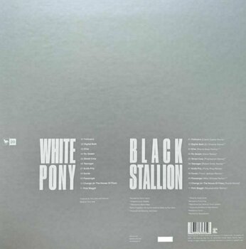 Vinyl Record Deftones - White Pony (20th Anniversary Deluxe Edition) (6 LP) - 4
