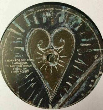 Vinyl Record Gojira - Fortitude (180g) (LP) - 2