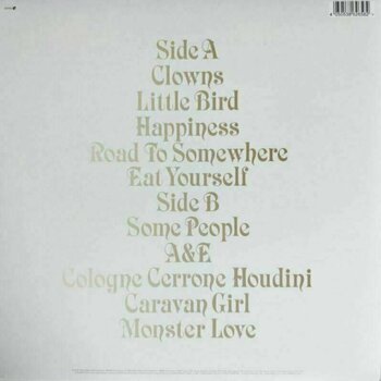 Schallplatte Goldfrapp - Seventh Tree (Yellow Vinyl) (LP) - 4