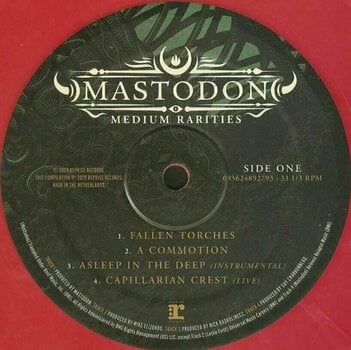 Vinyl Record Mastodon - Medium Rarities (Pink Vinyl) (2 LP) - 2