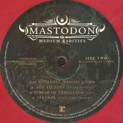 LP ploča Mastodon - Medium Rarities (Pink Vinyl) (2 LP) - 2