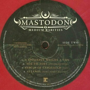 Vinyl Record Mastodon - Medium Rarities (Pink Vinyl) (2 LP) - 3