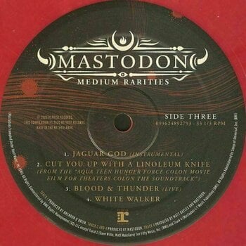 Vinyl Record Mastodon - Medium Rarities (Pink Vinyl) (2 LP) - 4