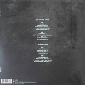 LP Pantera - Reinventing The Steel (Silver Vinyl) (LP) - 4