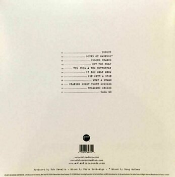 LP deska Shinedown - The Sound Of Madness (White Vinyl) (LP) - 4