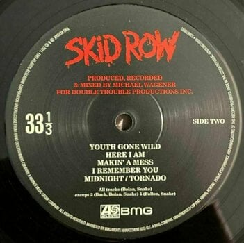 Disco de vinil Skid Row - The Atlantic Years (1989 - 1996) (7 LP) - 3