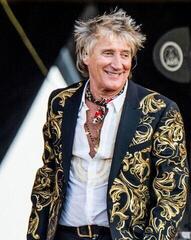 Schallplatte Rod Stewart - 1975-1978 (5 LP) - 2