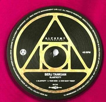 Disc de vinil Serj Tankian - Elasticity (Indie Purple Vinyl) (LP) - 2