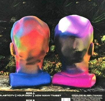 Vinylskiva Serj Tankian - Elasticity (Indie Purple Vinyl) (LP) - 4