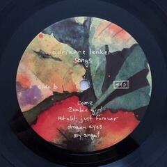 Disc de vinil Adrianne Lenker - Songs And Instrumentals (2 LP) - 2