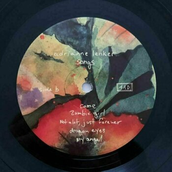 Vinyl Record Adrianne Lenker - Songs And Instrumentals (2 LP) - 3