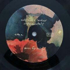 Disc de vinil Adrianne Lenker - Songs And Instrumentals (2 LP) - 3