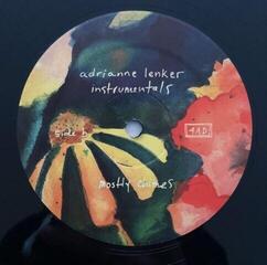 Disc de vinil Adrianne Lenker - Songs And Instrumentals (2 LP) - 4