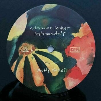 Грамофонна плоча Adrianne Lenker - Songs And Instrumentals (2 LP) - 5