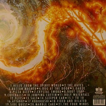 Disque vinyle Aesop Rock - Spirit World Field Guide (2 LP) - 3