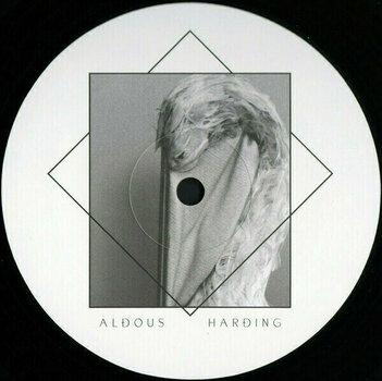 Hanglemez Aldous Harding - Designer (LP) - 3