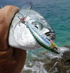 Wobbler Savage Gear Gravity Minnow Pink Belly Sardine - 2