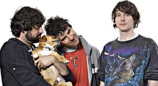 Schallplatte Animal Collective - Centipede HZ (2 LP) - 1