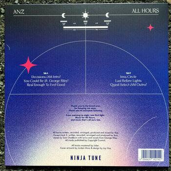Disque vinyle ANZ - All Hours (12" Vinyl) - 2