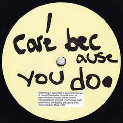 LP platňa Aphex Twin - I Care Because You Do (2 LP) - 1