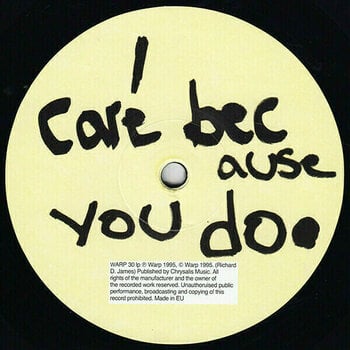 Hanglemez Aphex Twin - I Care Because You Do (2 LP) - 2