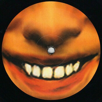 Hanglemez Aphex Twin - I Care Because You Do (2 LP) - 3
