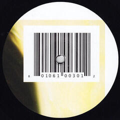 LP platňa Aphex Twin - I Care Because You Do (2 LP) - 3