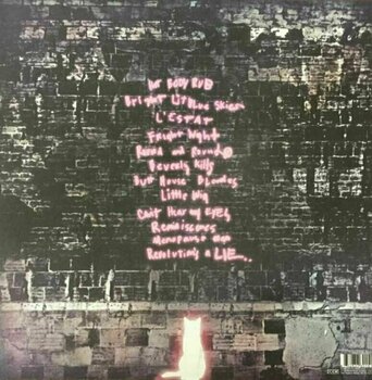 Hanglemez Ariel Pink's Haunted Graffiti - Before Today (LP) - 4