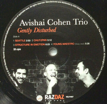 Vinyl Record Avishai Cohen - Gently Disturbed (LP) - 2
