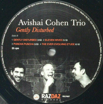 Vinyl Record Avishai Cohen - Gently Disturbed (LP) - 3