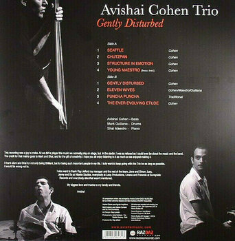 Vinyylilevy Avishai Cohen - Gently Disturbed (LP) - 4
