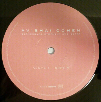 Hanglemez Avishai Cohen - Two Roses (2 LP) - 2
