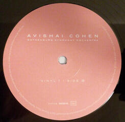 LP platňa Avishai Cohen - Two Roses (2 LP) - 2