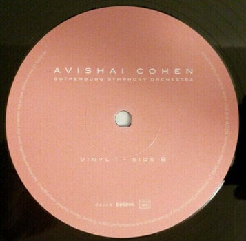 Hanglemez Avishai Cohen - Two Roses (2 LP) - 3