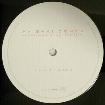 Hanglemez Avishai Cohen - Two Roses (2 LP) - 4