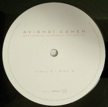 Hanglemez Avishai Cohen - Two Roses (2 LP) - 5