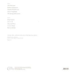 LP ploča The Tallest Man On Earth - The Wild Hunt (LP) - 3