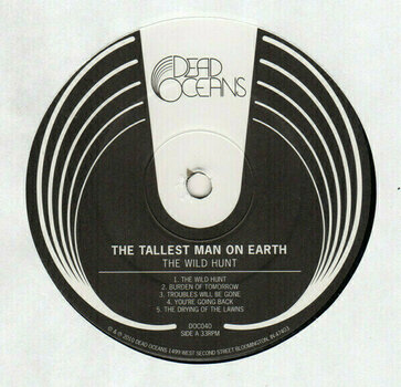 Vinyl Record The Tallest Man On Earth - The Wild Hunt (LP) - 2