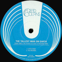 LP ploča The Tallest Man On Earth - Sometimes The Blues Is Just A Passing Bird (LP) - 1