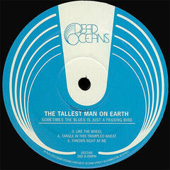LP ploča The Tallest Man On Earth - Sometimes The Blues Is Just A Passing Bird (LP) - 2